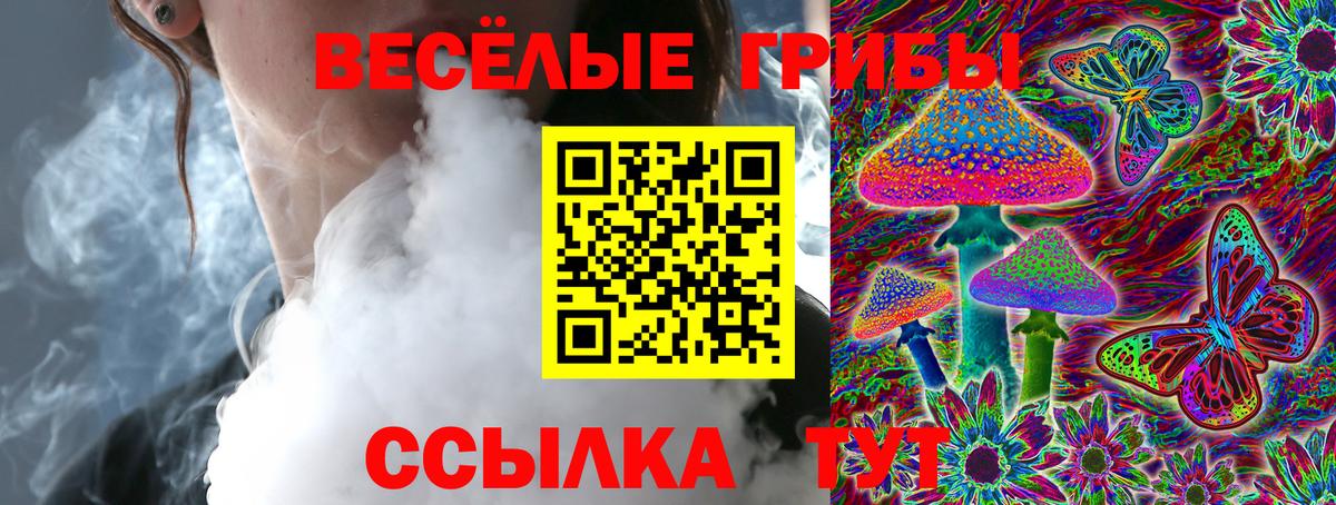 Галлюциногенные грибы прущие грибы  Вход с VPN  Ростов-на-Дону  Псилоцибиновые грибы Psilocybine cubensis 